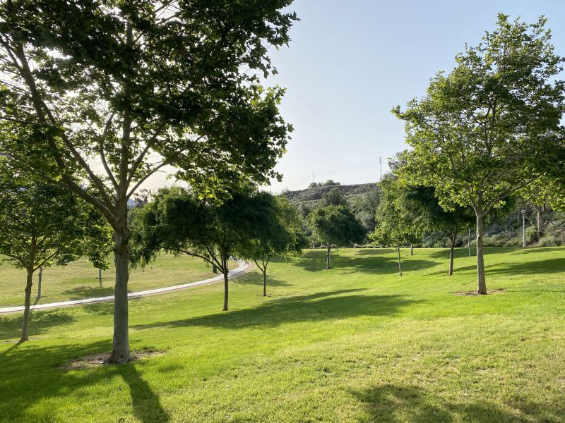 Landscape with Well-Maintained Trees